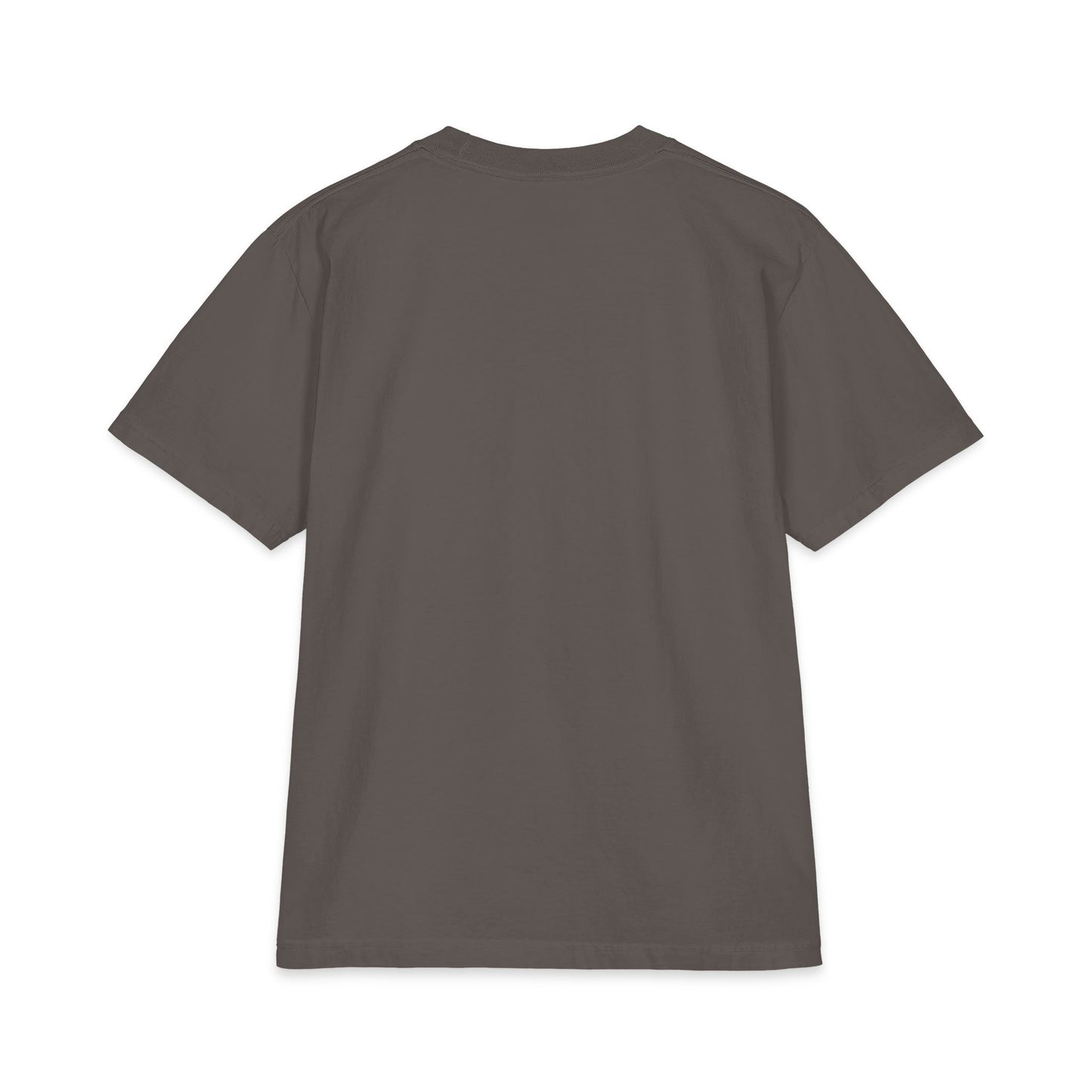 You Can Always Ask Jesus T‑Shirt — Vintage Biplane Christian Tee